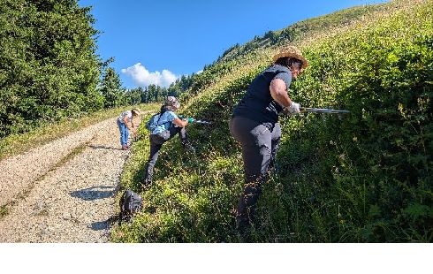 Les courageuses au travail